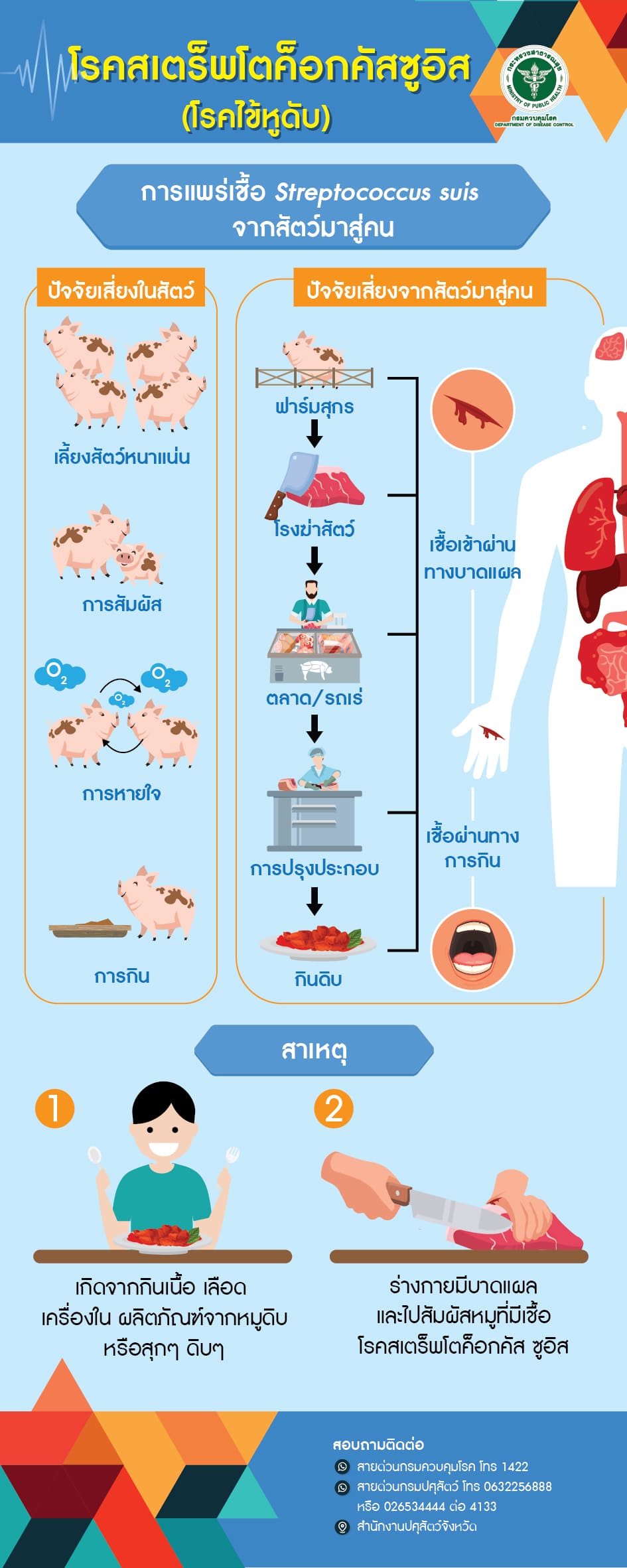 การแพร่เชื้อ Streptococcus suis