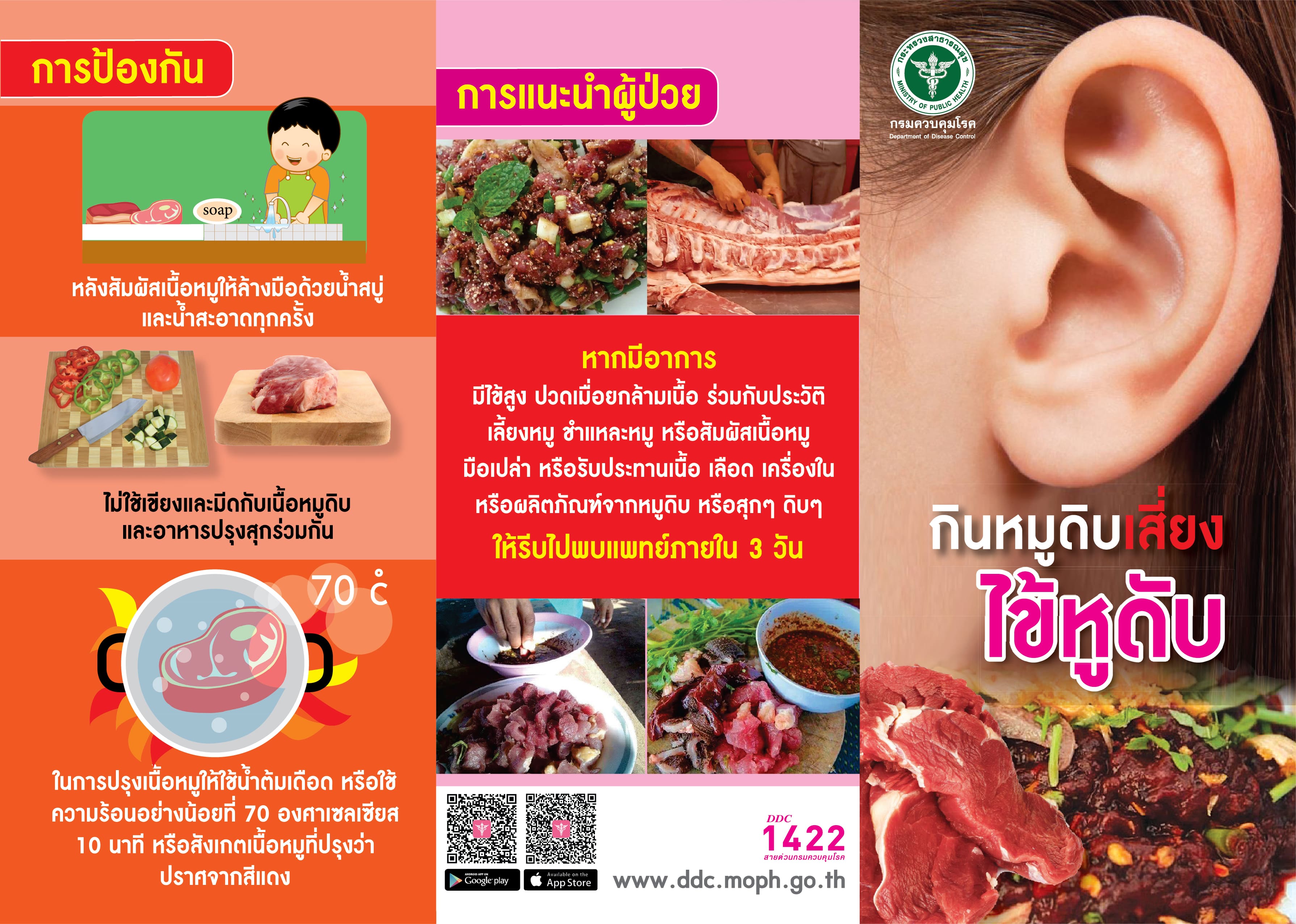 การแนะนำผู้ป่วยโรคไข้หูดับ