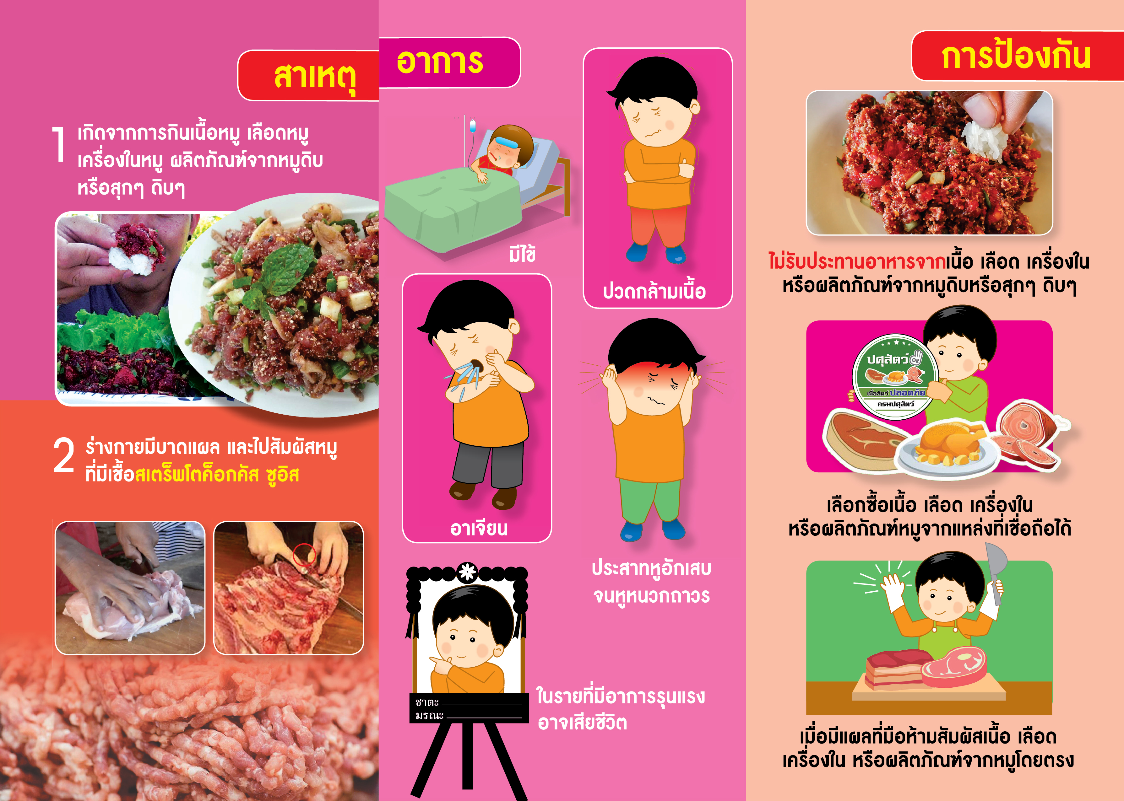 สาเหตุ อาการ การป้องกัน โรคไข้หูดับ